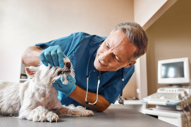 Best Emergency Wisdom Teeth Removal in Uniontown, OH
